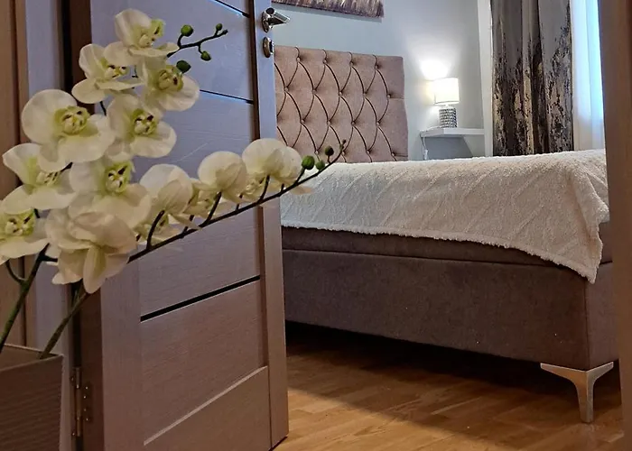 Apartman 49